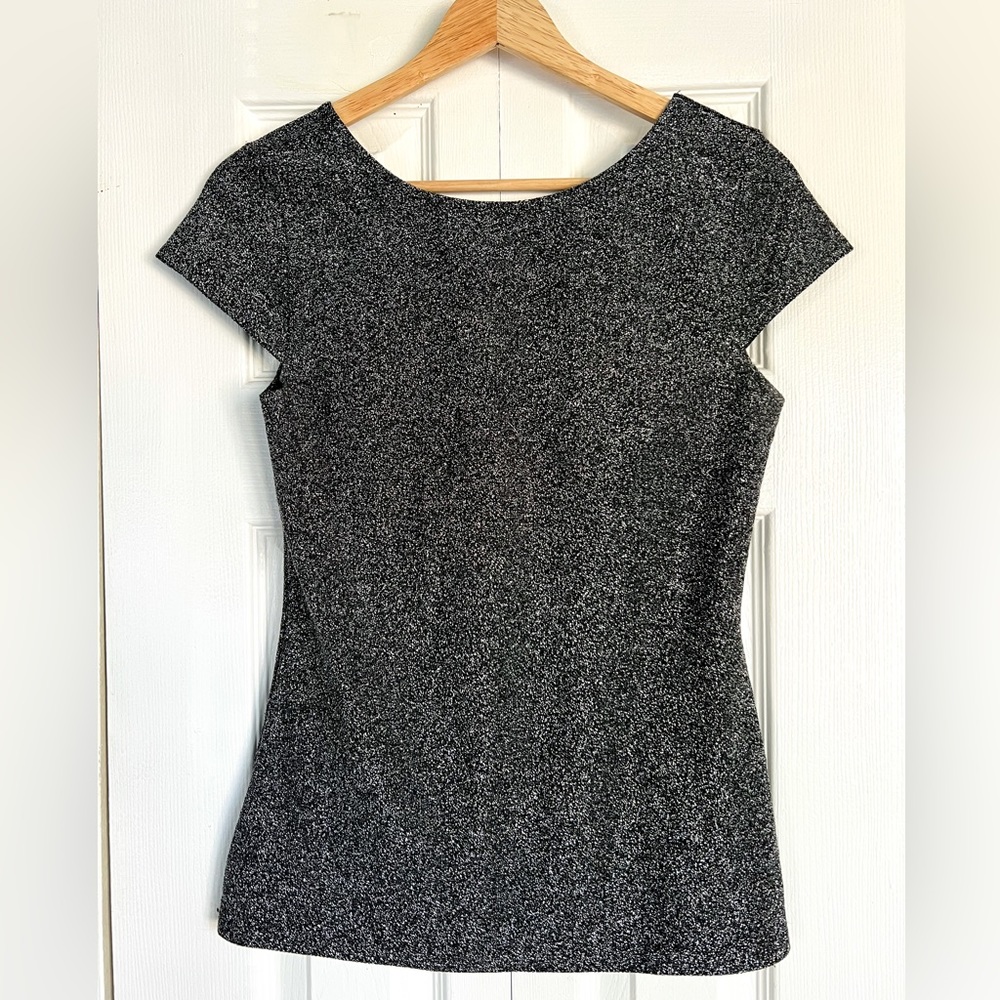 Express Metallic Fitted Top